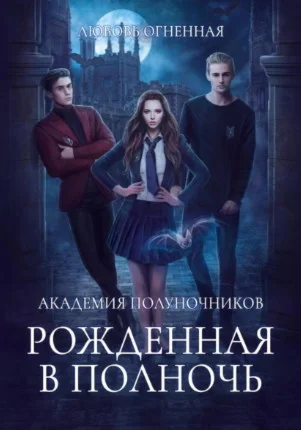 Академия Полуночников. книга 1. fb2