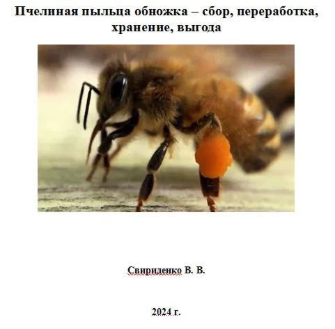 Пчелиная пыльца – сбор, переработка, хранение, выгода