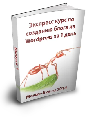 Экспресс курс по созданию блога WordPress за 1 день