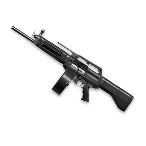 USAS-12 (1 день)
