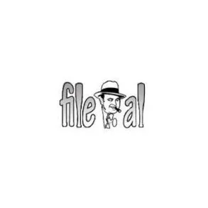 File.Al Премиум-аккаунт 3DAYS 50GB