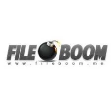 fileboom Премиум Про Аккаунт 18hoours 20GB