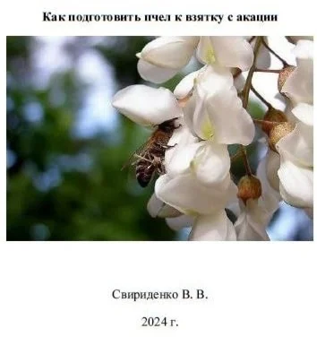 Как получить мед с белой акации