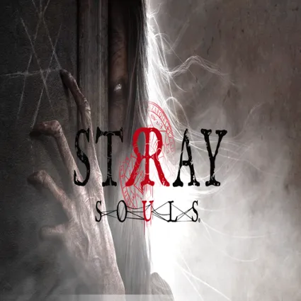 🧸 Stray Souls ✅ GOG 🧸 (PC)