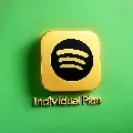 💚🎶 Spotify Premium Individual  — фото 2