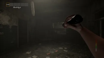 PANICORE * STEAM RU*KZ*UA*СНГ 🔥