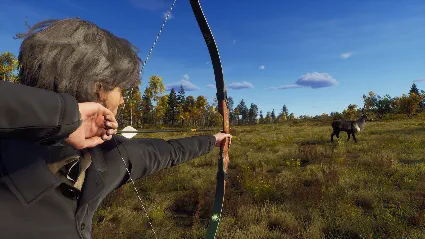 Way of the Hunter - Bear Archery Pack DLC RU*KZ*UA*CIS