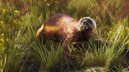 Way of the Hunter - Lintukoto Reserve DLC RU*KZ*UA*CIS