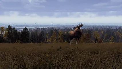 Way of the Hunter - Lintukoto Reserve DLC RU*KZ*UA*CIS