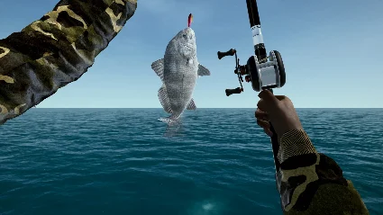 Ultimate Fishing Simulator - Florida DLC RU*KZ*UA*CIS