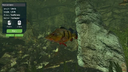 Ultimate Fishing Simulator - Aquarium DLC RU*KZ*UA*CIS
