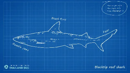 Ultimate Fishing Simulator - Thailand DLC RU*KZ*UA*CIS