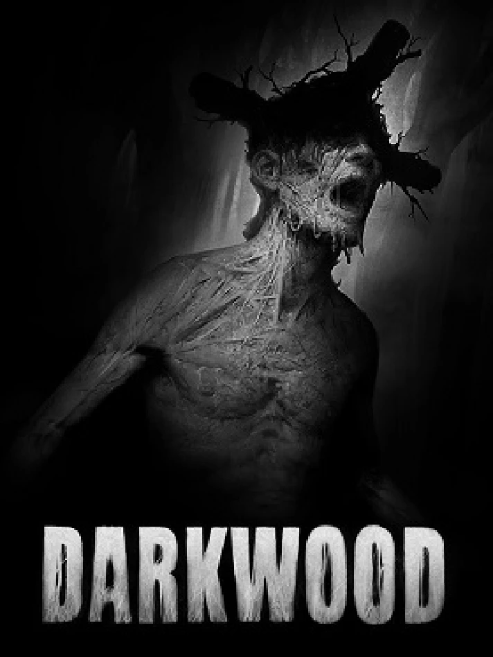 🎮 Shared account Darkwood | Forever