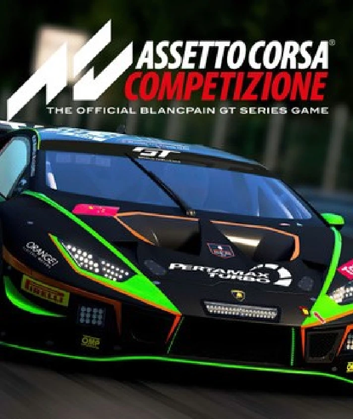 🎮Shared account Assetto Corsa Competizione | Forever