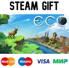 Eco | steam gift RU
