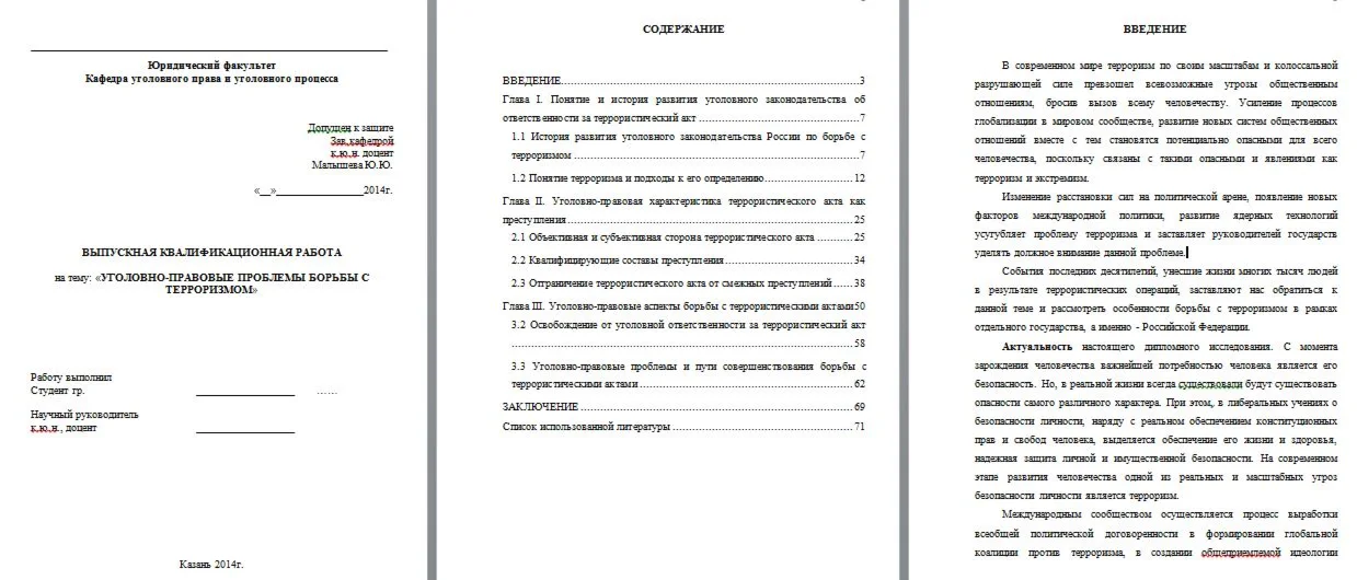 Уголовно-правовые проблемы борьбы с терроризмом. Диплом