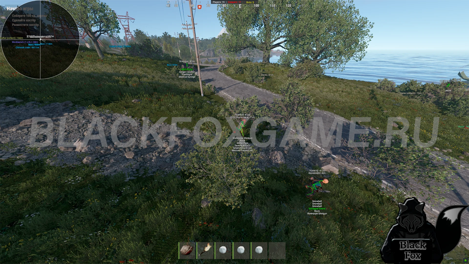 Rust Mr.Pro (Только для СНГ региона)
