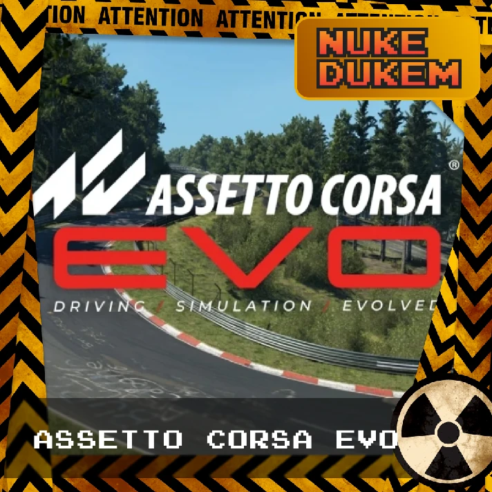 RU➕CIS➕TR💎STEAM | ASSETTO CORSA EVO 🏎️