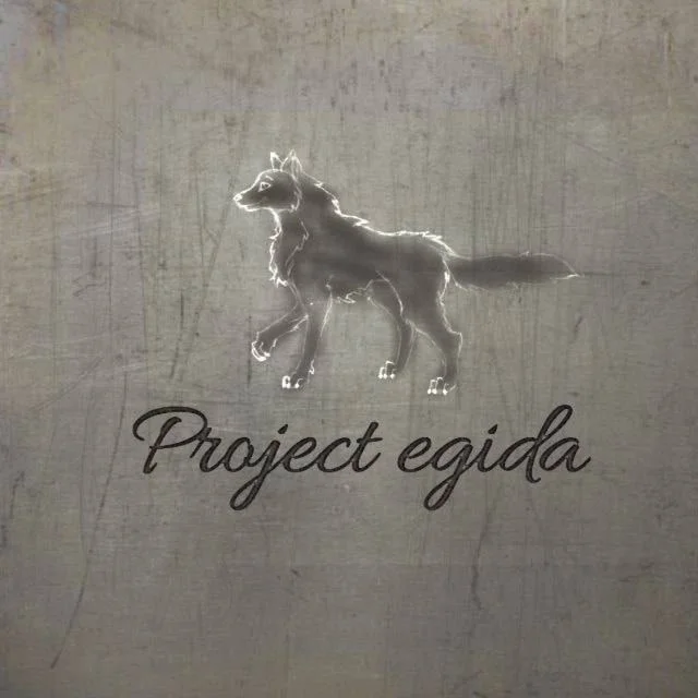 ВУЛЬФ 7 ДНЕЙ