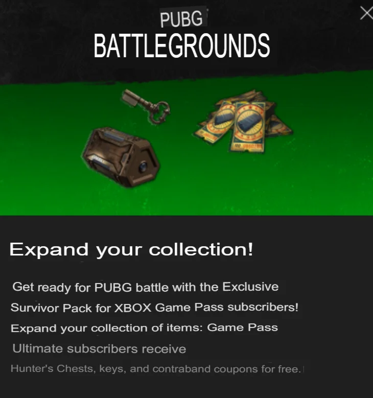 PUBG Эксклюзивный набор Выжившего №3 xbox