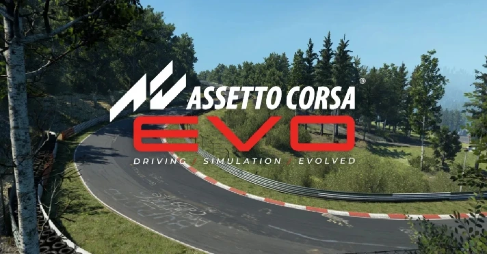 Assetto Corsa EVO 🔵(STEAM/RU/UA-CIS) KEY