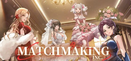 Matchmaking Inc.  АВТОДОСТАВКА STEAM РОССИЯ