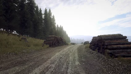 Dirt Rally 2.0 - Wales Rally DLC * STEAM RU*KZ*UA*СНГ