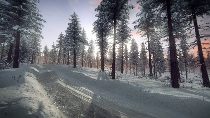 DiRT Rally 2.0 - Sweden (Rally Location) DLC