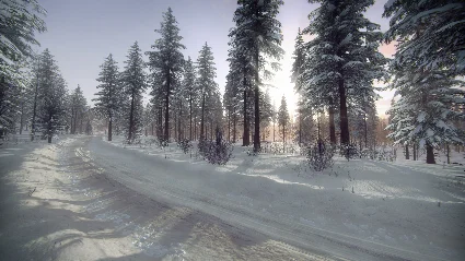 DiRT Rally 2.0 - Sweden (Rally Location) DLC