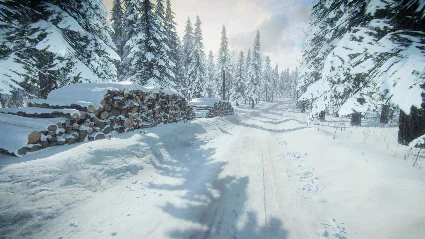 DiRT Rally 2.0 - Sweden (Rally Location) DLC