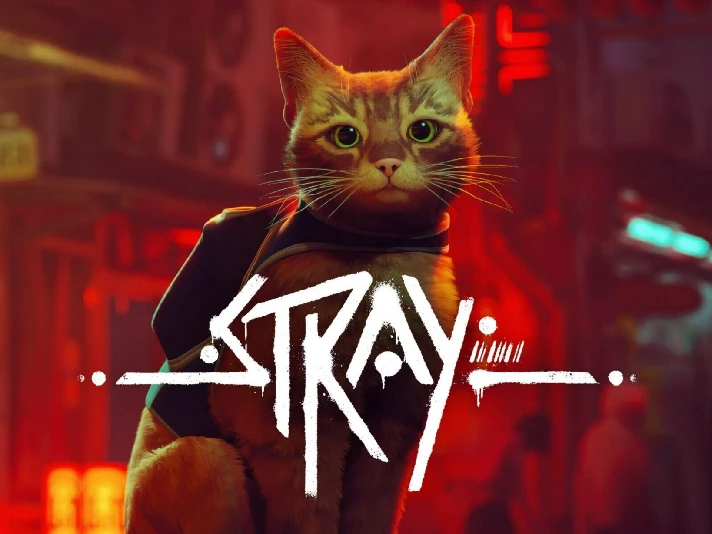 💥Stray 🔵 PS4/PS5 🔴Turkey🔴