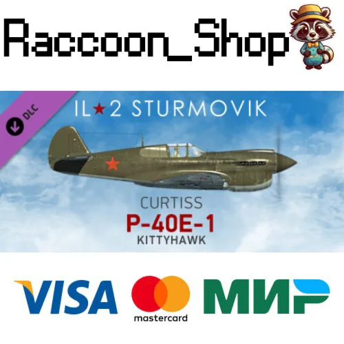 IL-2 Sturmovik: P-40E-1 Collector Plane DLC * STEAM