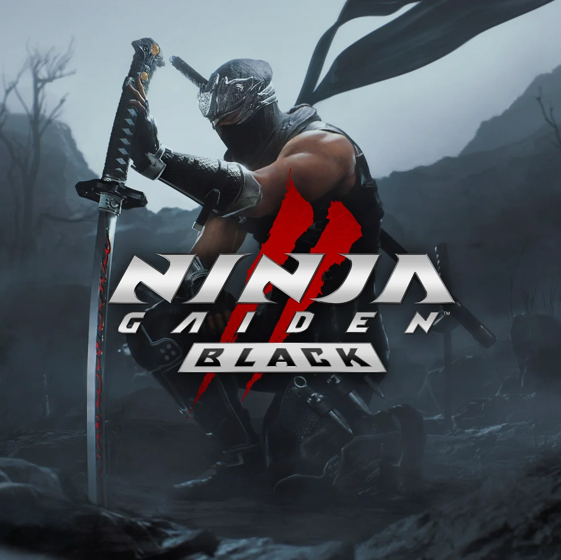 NINJA GAIDEN 2 Black   MS АККАУНТ