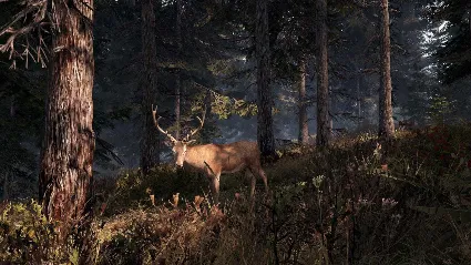 ✅ This Land Is My Land Steam АККАУНТ НОВЫЙ+ПОЧТА