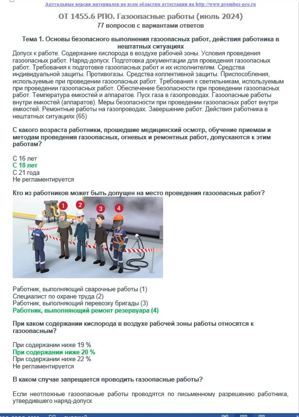 ОТ 1455.6 (июнь 2024) РПО. Газоопасные работы