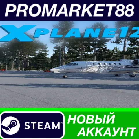  X-Plane 12 Steam АККАУНТ НОВЫЙ +ПОЧТА