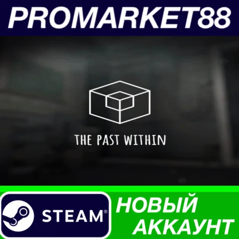  The Past Within Steam АККАУНТ НОВЫЙ+ПОЧТА