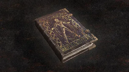 Dragon's dogma 2: Искусство преображения (изменение вне