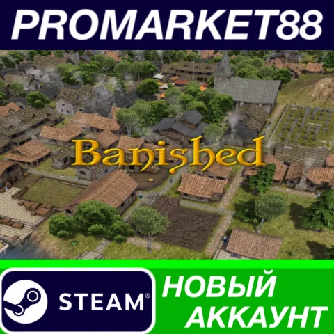  Banished Steam АККАУНТ НОВЫЙ +ПОЧТА