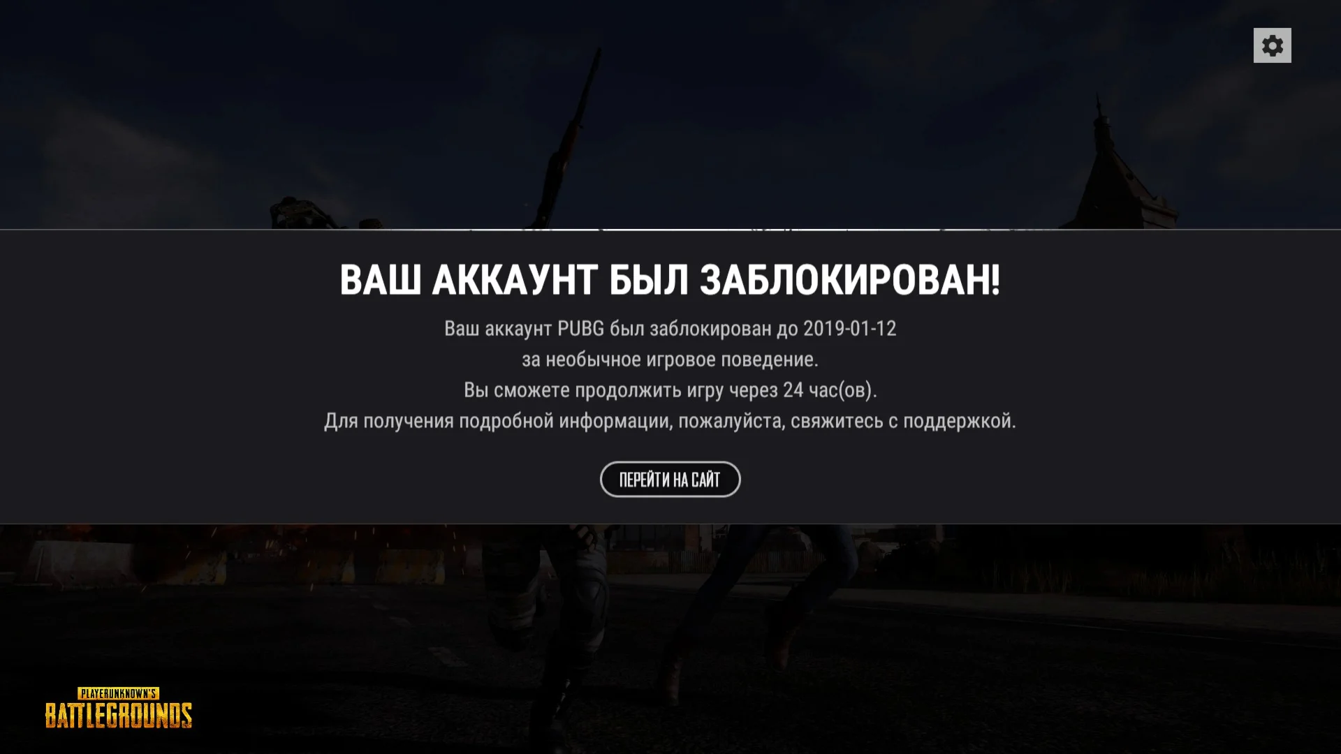 Услуга единоразового снятия HWID бана в игре PUBG