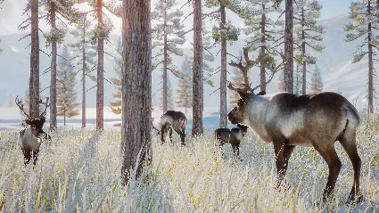 Planet Zoo: Arctic Pack DLC * STEAM RU*KZ*UA*СНГ 🔥