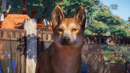 Planet Zoo: Australia Pack DLC * STEAM RU*KZ*UA*СНГ 🔥