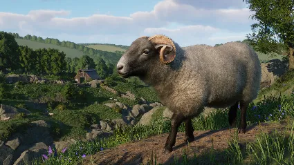 Planet Zoo: Barnyard Animal Pack DLC RU*KZ*UA*CIS