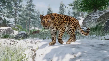 Planet Zoo: Conservation Pack DLC * STEAM RU*KZ*UA*СНГ