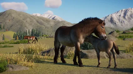 Planet Zoo: Conservation Pack DLC * STEAM RU*KZ*UA*СНГ