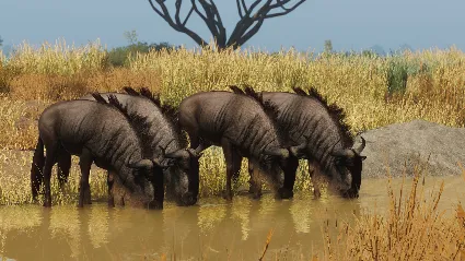 Planet Zoo: Grasslands Animal Pack DLC RU*KZ*UA*CIS