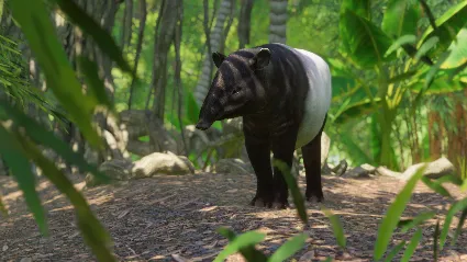 Planet Zoo: Southeast Asia Animal Pack DLC