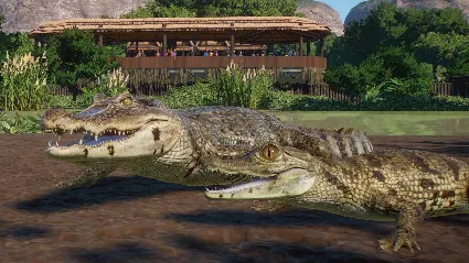 Planet Zoo: Wetlands Animal Pack DLC RU*KZ*UA*CIS