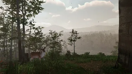 Virtual Hunter - STEAM GIFT РОССИЯ