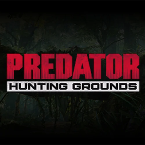  Predator DLC Bundle  EGS DLC  (PC)